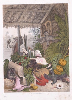 Exotic Animals - Original Lithograph by Emil Hochdanz- 1866