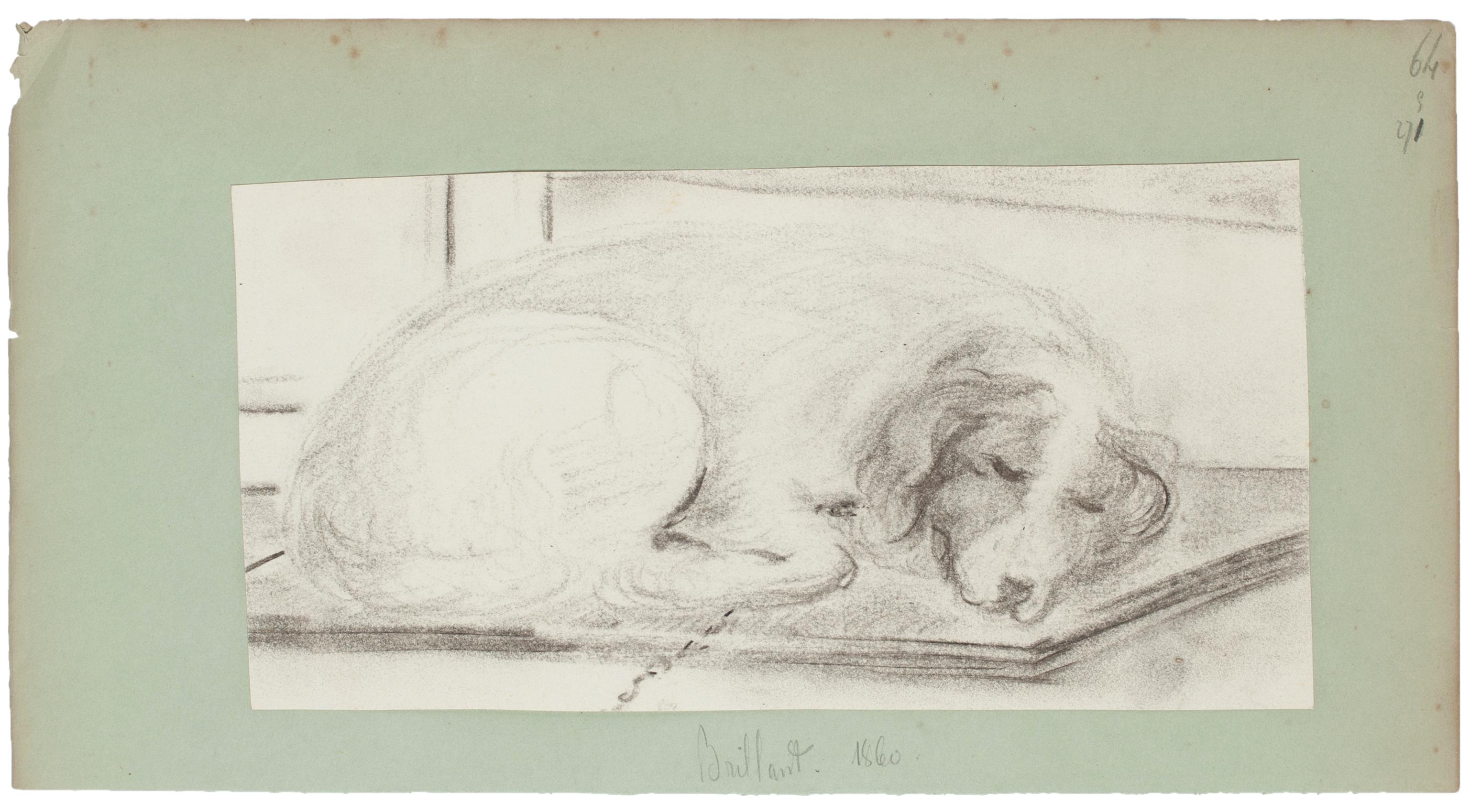 Unknown Figurative Art - Sleeping Dog - Pencil Drawing on Paper - Late 19th Century