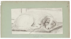 Sleeping Dog - Pencil Drawing on Paper - Late 19th Century