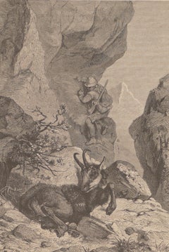 A Lying Animal - Original Lithograph by F. Specht - 1880