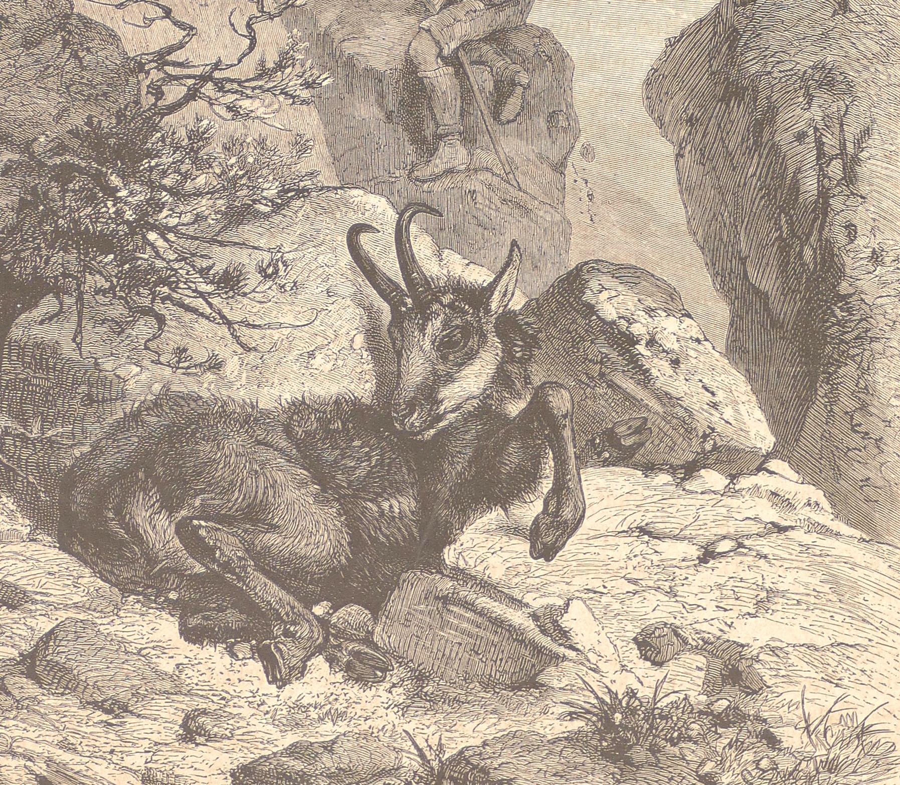 Original Lithographie „A Lying Animal“ von F. Specht, 1880 (Naturalismus), Print, von Friedrich Specht