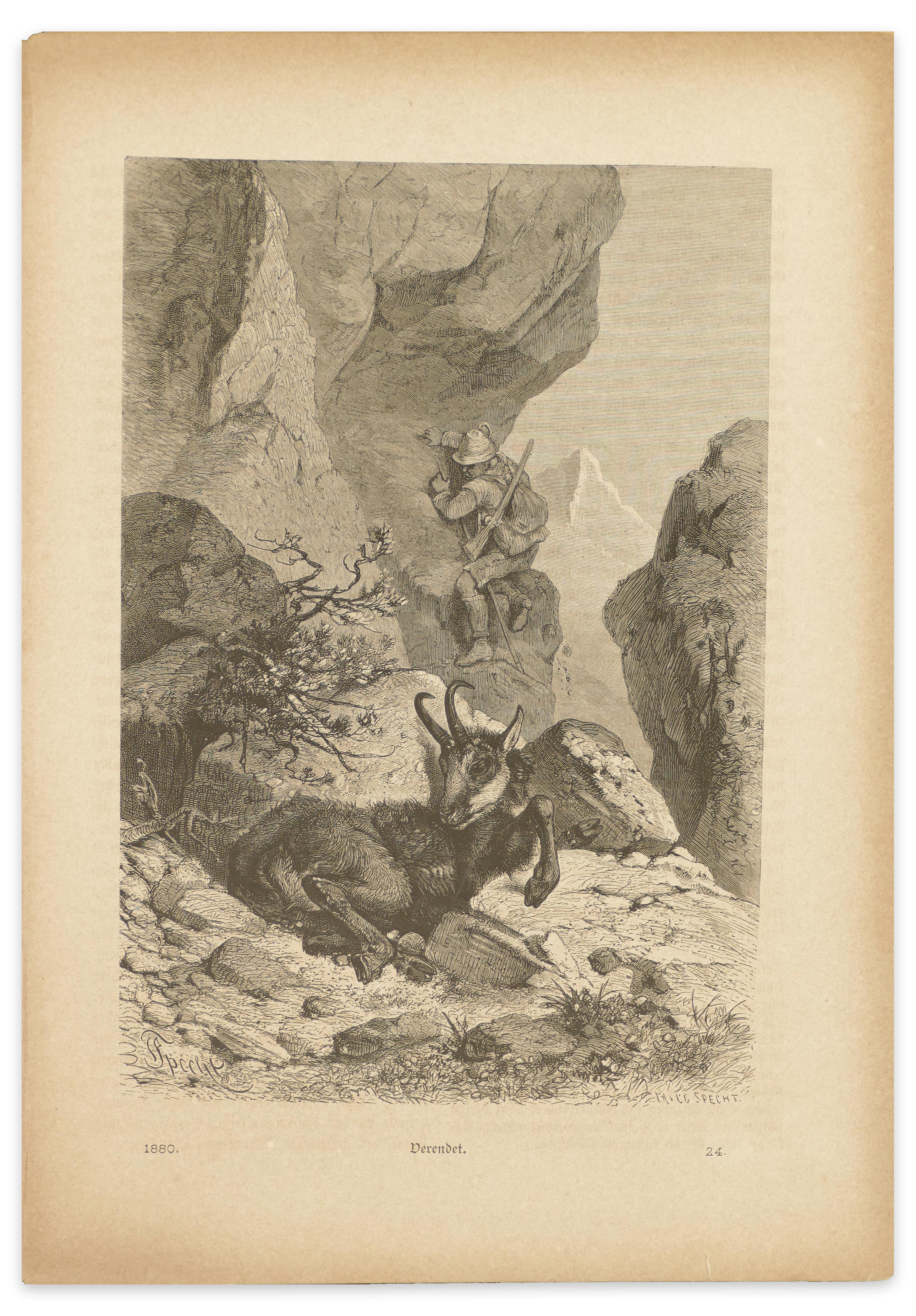 Friedrich Specht Figurative Print – Original Lithographie „A Lying Animal“ von F. Specht, 1880