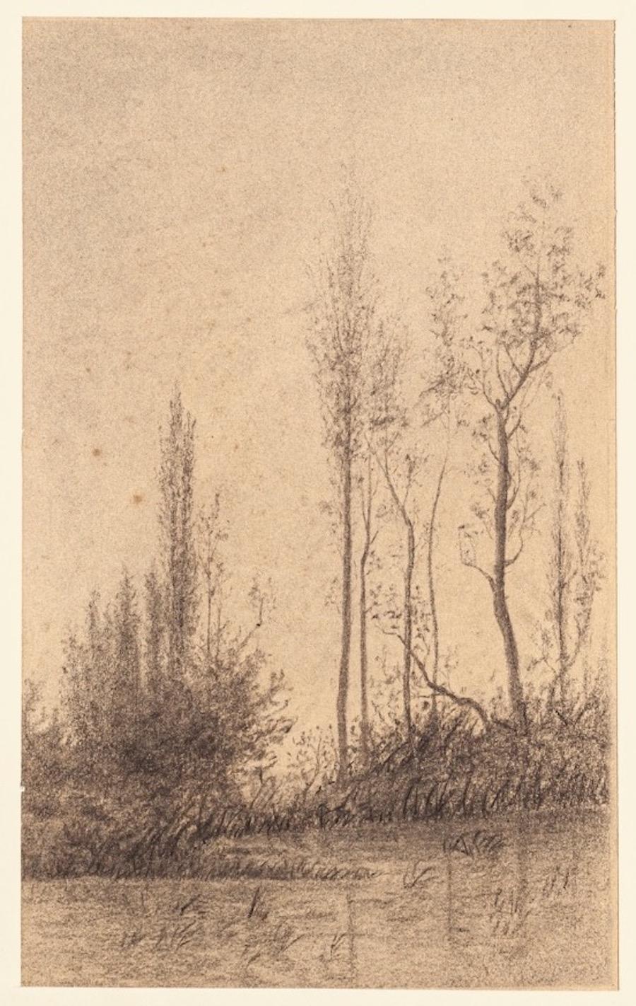 Emile-Louis Minet Landscape Art - Landscape - Charcoal and Pencil by E.-L. Minet - 1919