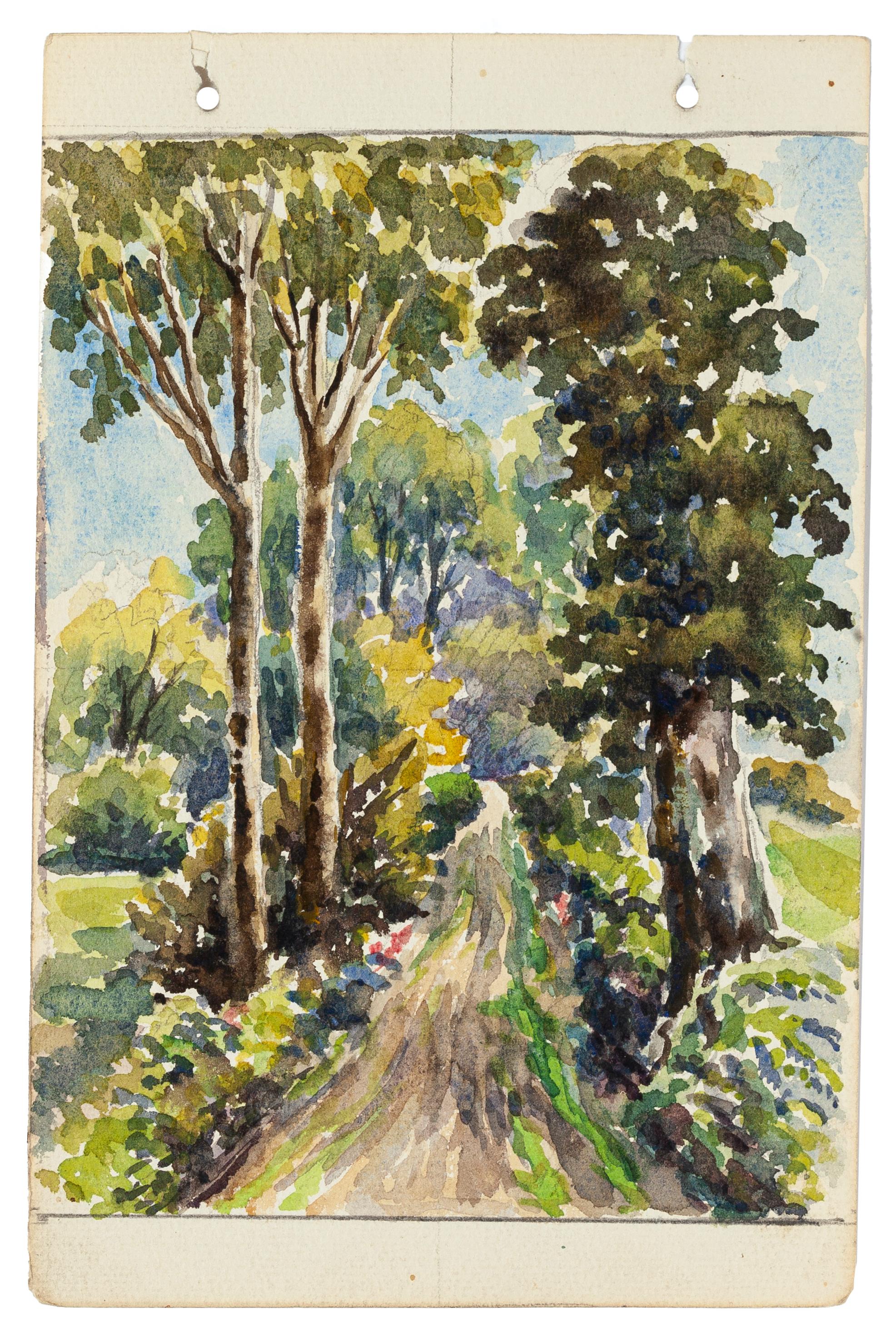 Foresta - Acquerello di un maestro francese - Mid 20th Century - Art di Unknown