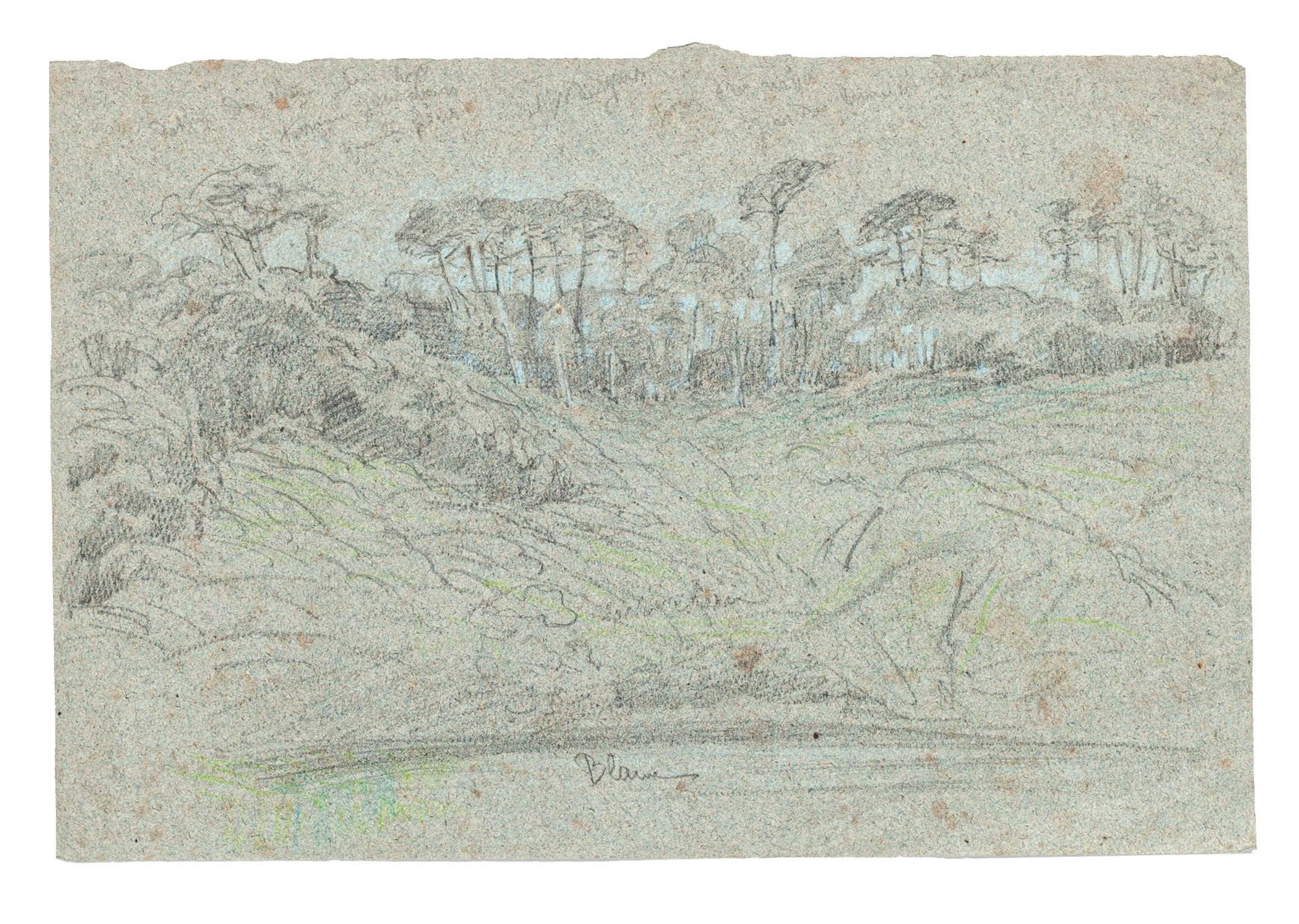 Landscape - Original Charcoal Drawing by French Master mid 1900