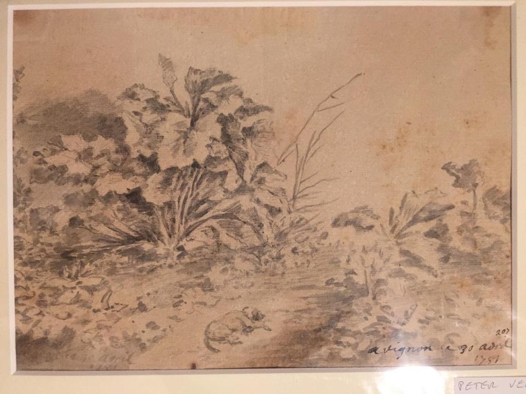Dog with Plants - Original China Ink Drawing by Jan Pieter Verdussen - 1751