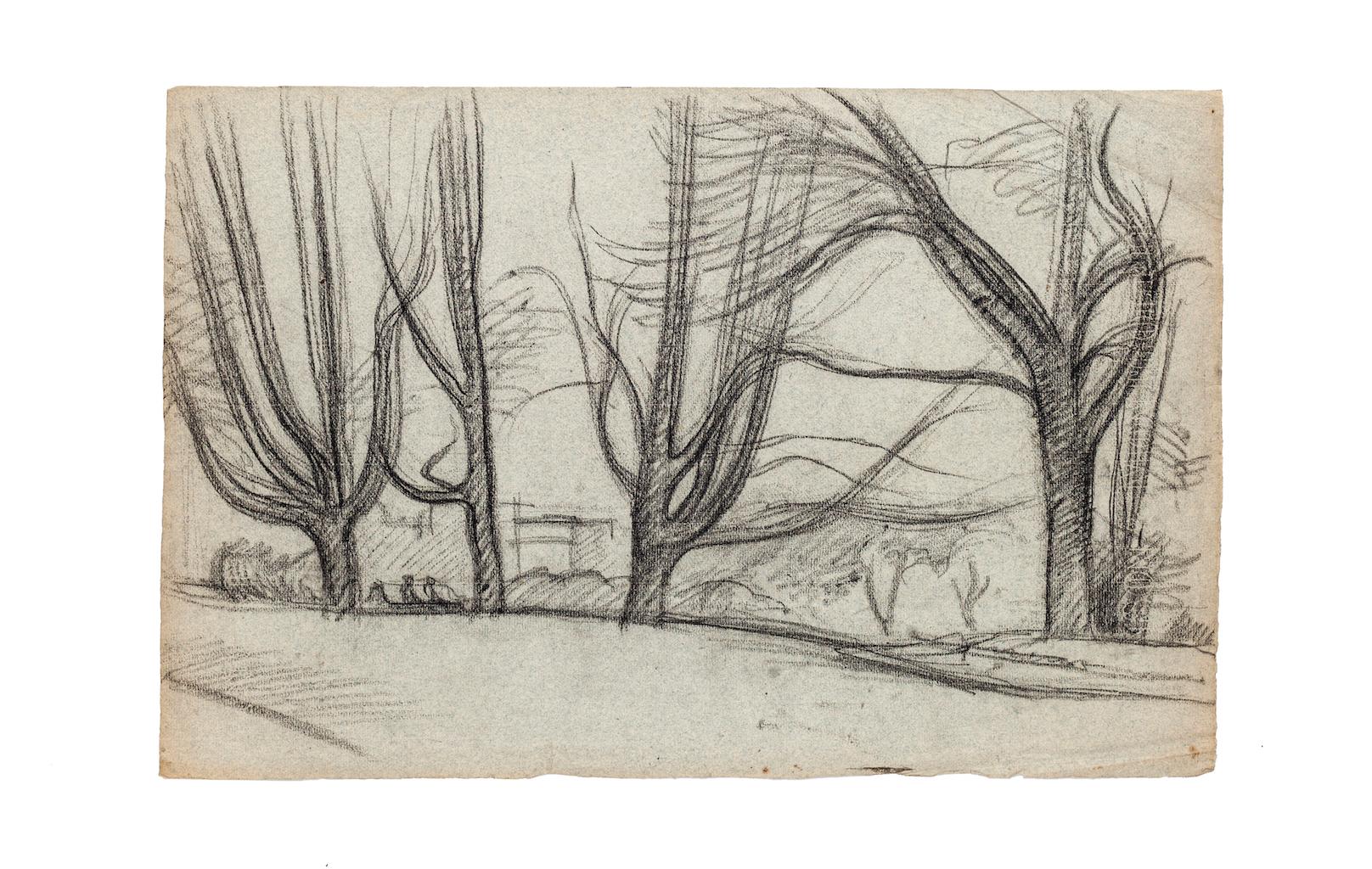 Trees – Originalzeichnung mit Bleistift und Kohle – 20. Jahrhundert