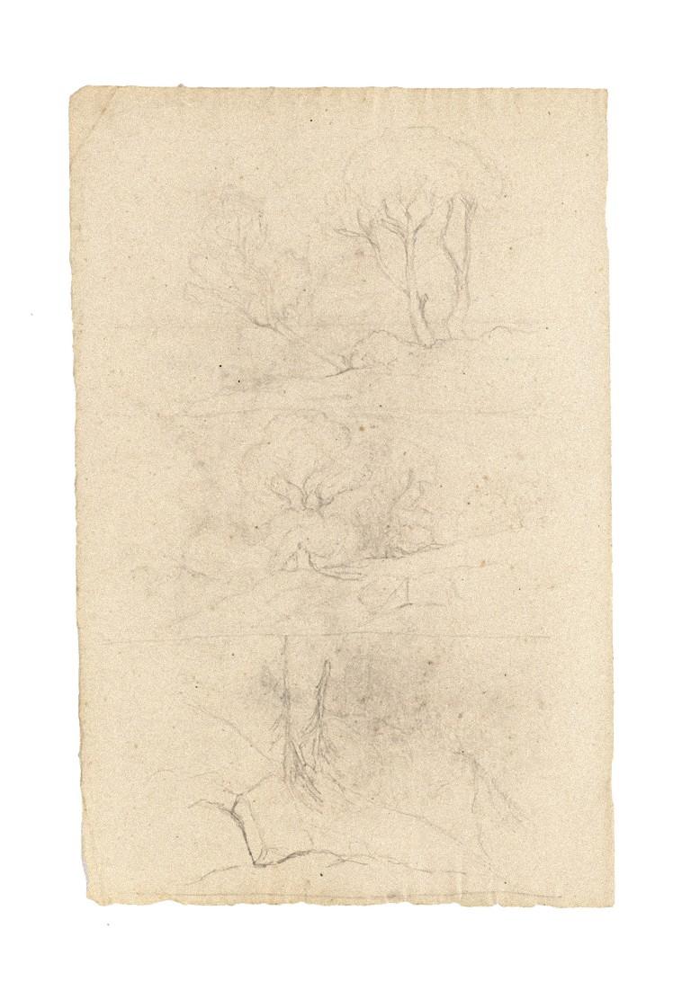 Landscape - Original Drawing in Pencil on Paper - 20th Century - Art by Unknown