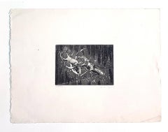 Insects -  Etching on Paper by Christian D’ Espic - 1954