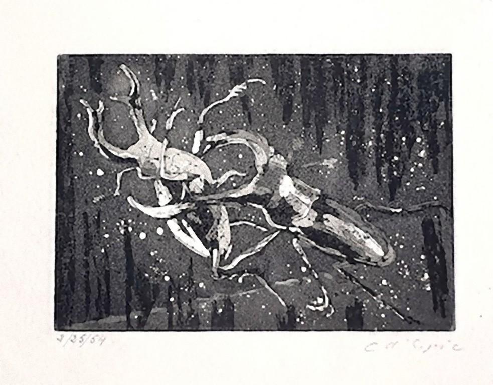 Insects -  Etching on Paper by Christian D’ Espic - 1954