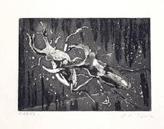 Insects - Original Etching on Paper by Christian D’ Espic - 1954