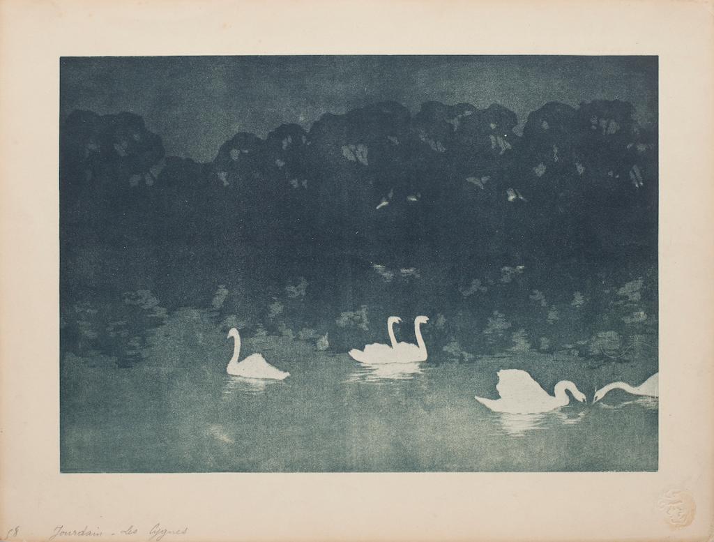 Swans - Lithography on Paper by Francis Jourdain - Early 20th Century 1