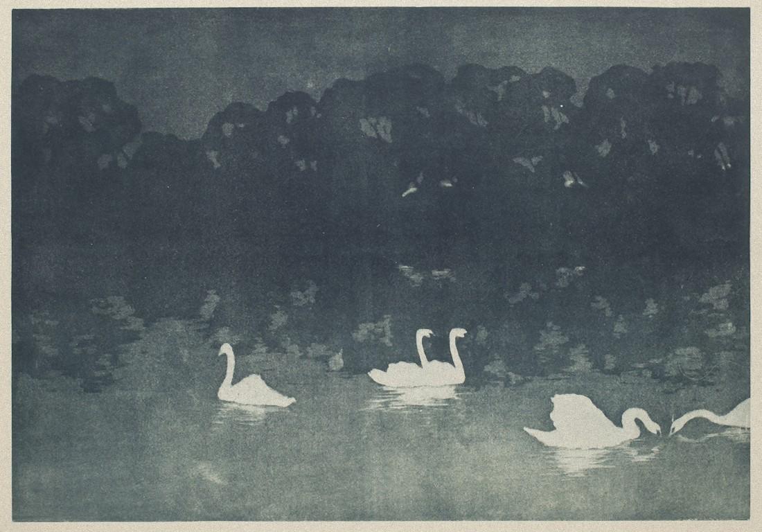 Swans is original lithography artwork on paper realized by Francis Jourdain (1876-1958), Hand-signed on the lower left.

The state of preservation is good and aged.

The artwork represents the scenery of a lake with swans in it, the bushes, and