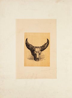 Buffalo Skull - Lithograph by Carlo Coleman - 1850