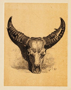 Buffalo Skull - Original Lithography by Carlo Coleman - 1850