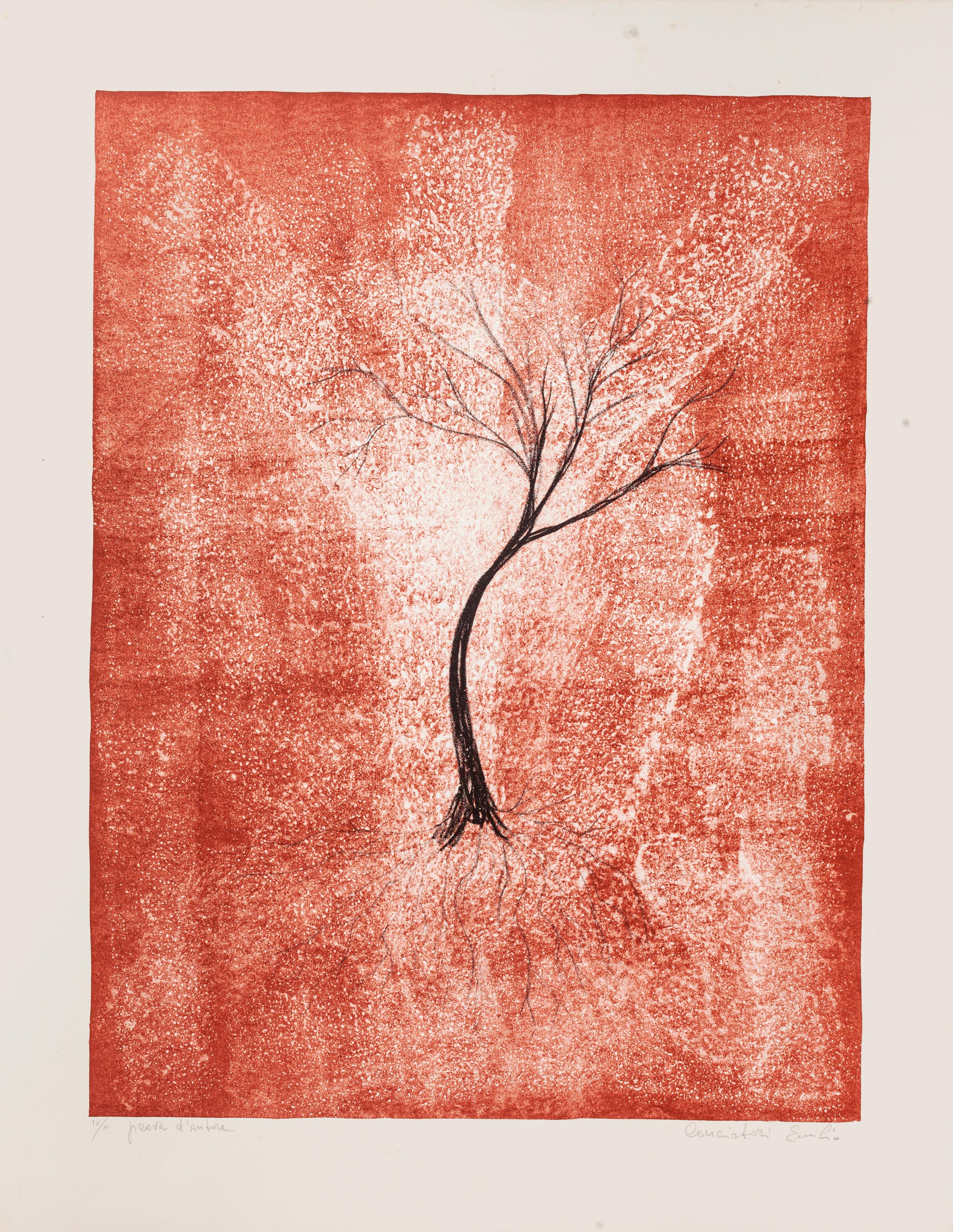 Emilio Conciatori Figurative Print - Tree - Original Lithograph by E. Conciatori - 1970s
