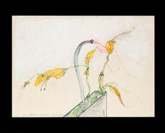 Carnivoröse Pflanzgefäße – Stift und Aquarell von Sergio Barletta – 1975