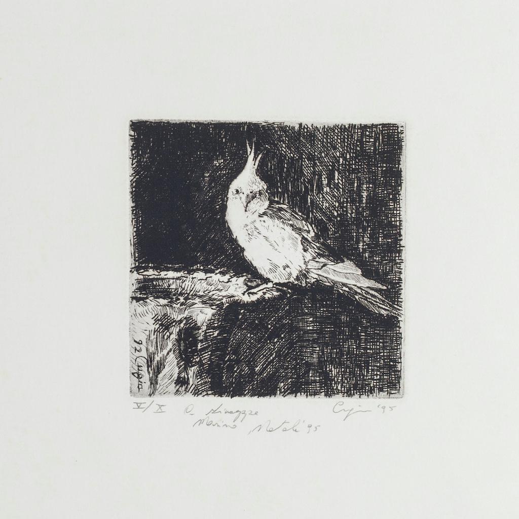 Parrot is an original etching artwork on paper realized by Cugia Gianni in 1995.

Hand-signed on the lower right in pencil, dated and numbered in Roman numerals, edition of V/X prints.

The state of preservation is very good.

Included a white