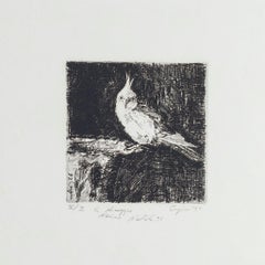 Loro - Aguafuerte original sobre papel de Valerio Cugia - 1995
