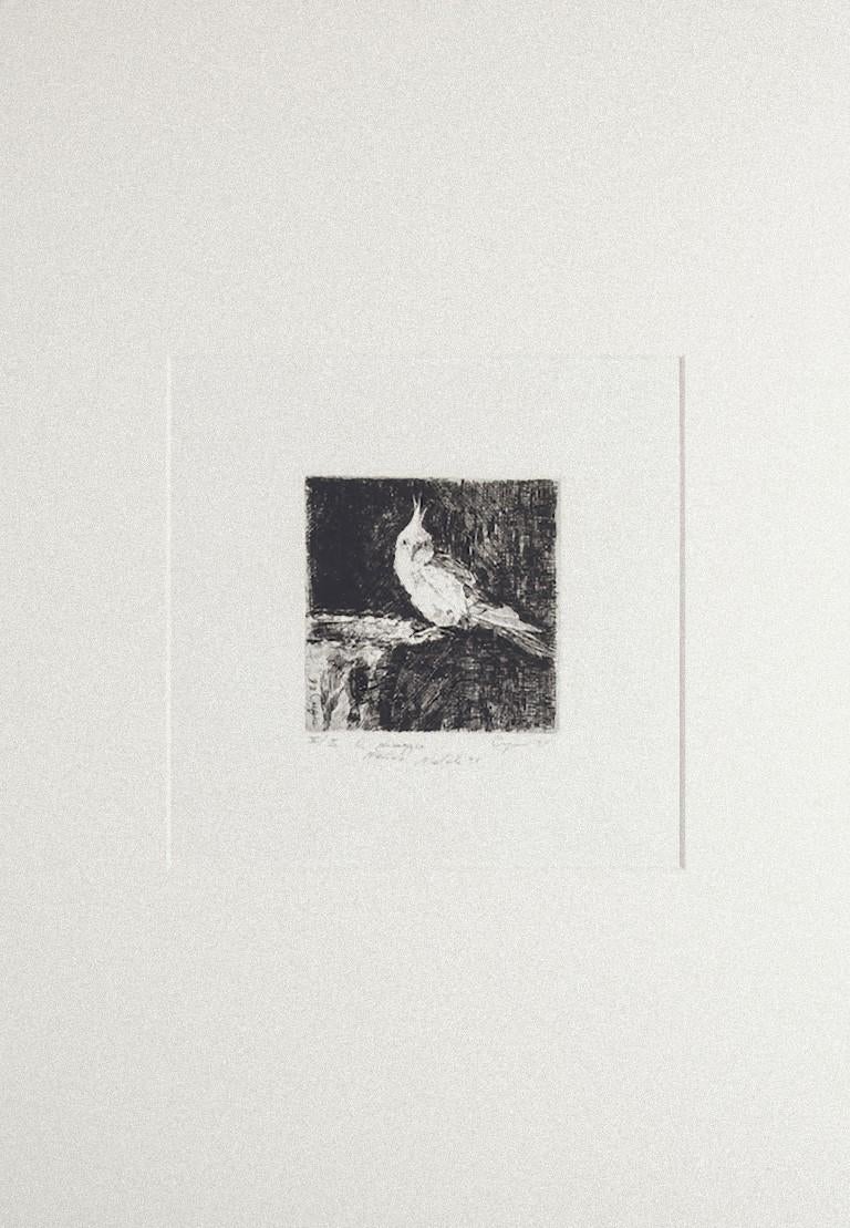 Papagei – Original-Radierung auf Papier von Valerio Cugia – 1995 im Angebot 1