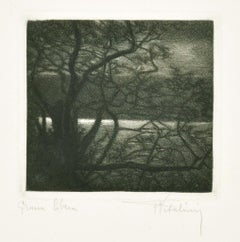 Landscape - Etching on Paper by Francesco Vitalini - 1904