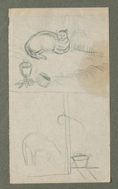 Cat Study - Original Drawing - 20th Century