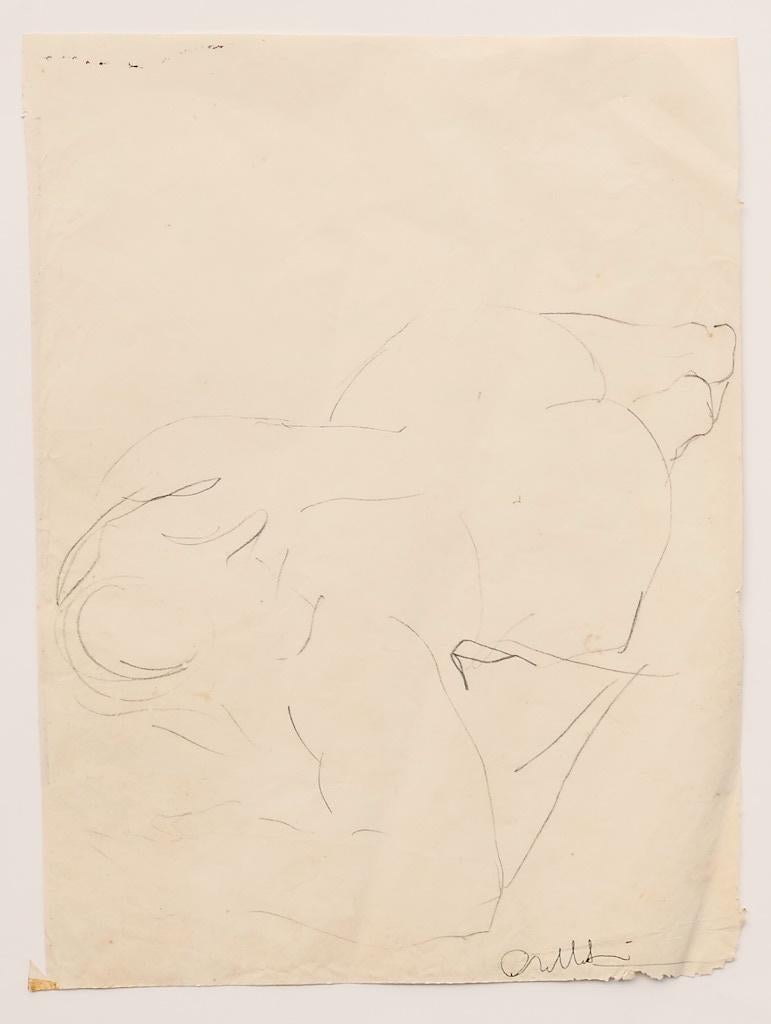 Nude is a drawing in pen on paper realized by Italian Artist Angelo Sabbatani.

Hand-signed on the lower right

The state of preservation is good and aged with folding along which does not affect the image.

The artwork represents a lying down