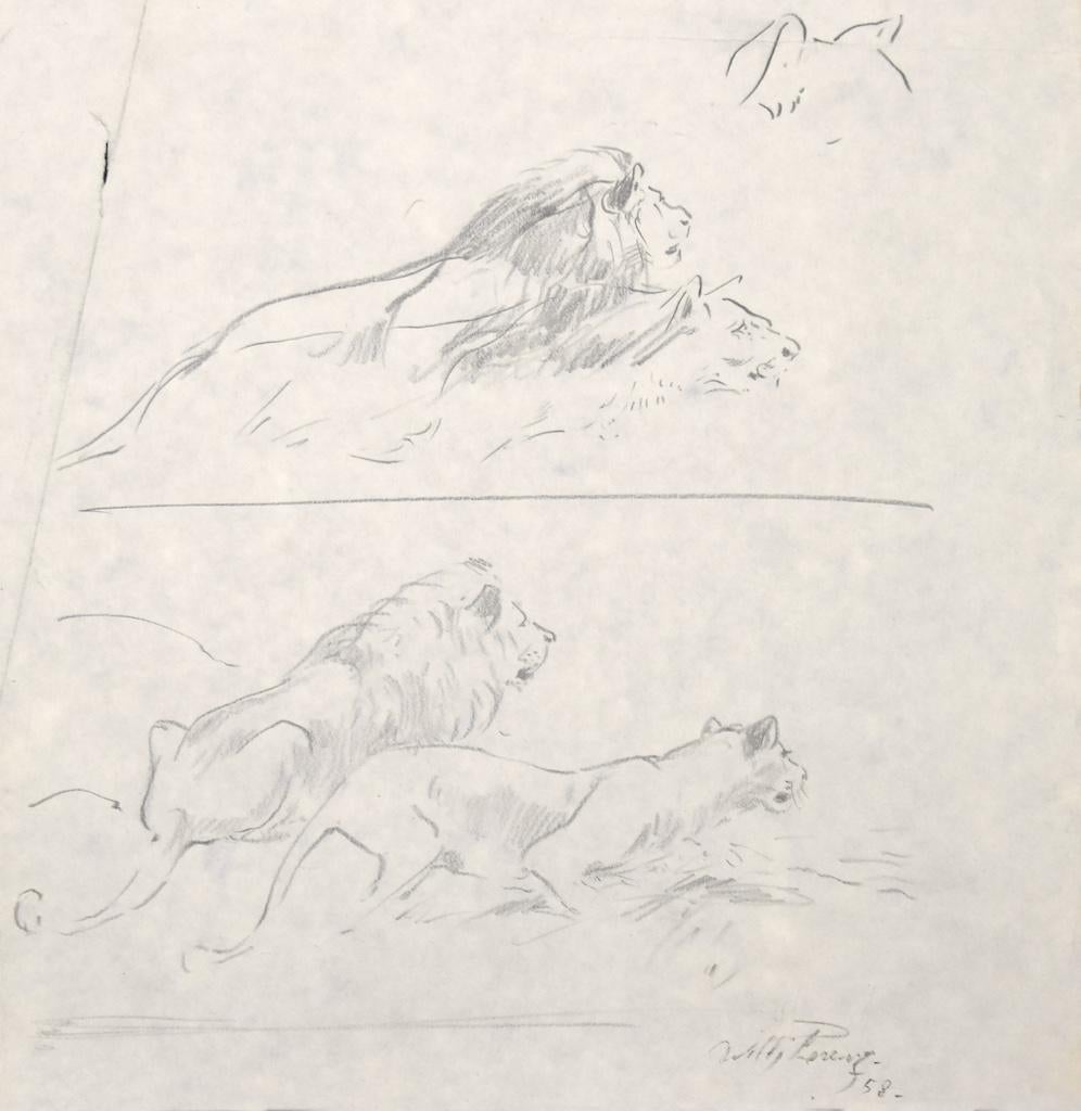 Lions is an original drawing in pencil by Lions by  Willy Lorenz in 1958.

Hand-signed on the lower right and dated.

The State of preservation is very good except for some foldings.

Sheet dimension:26.5 x 26.5 cm

The artwork represents a scenery