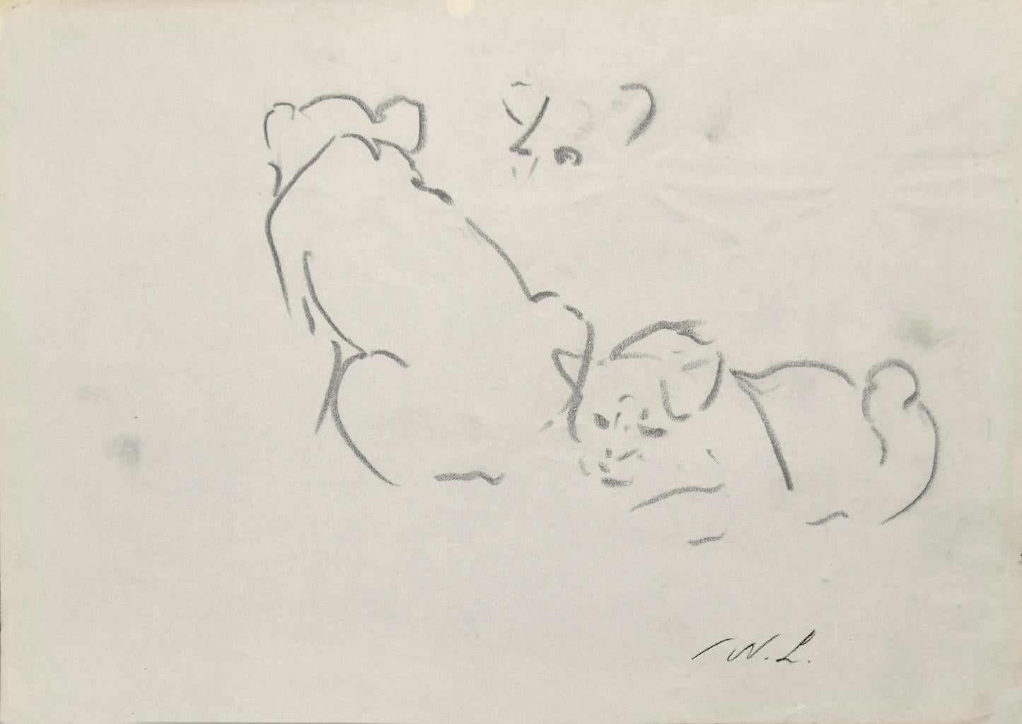 Lions - Original Pencil on Paper by Willy Lorenz - 1950s