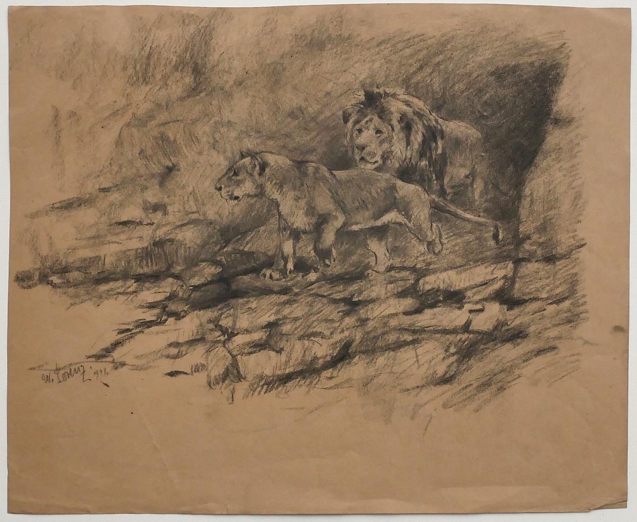 Lions - Original Pencil on Paper by Willy Lorenz - 1947