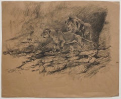 Lions - Crayon original sur papier de Willy Lorenz - 1947
