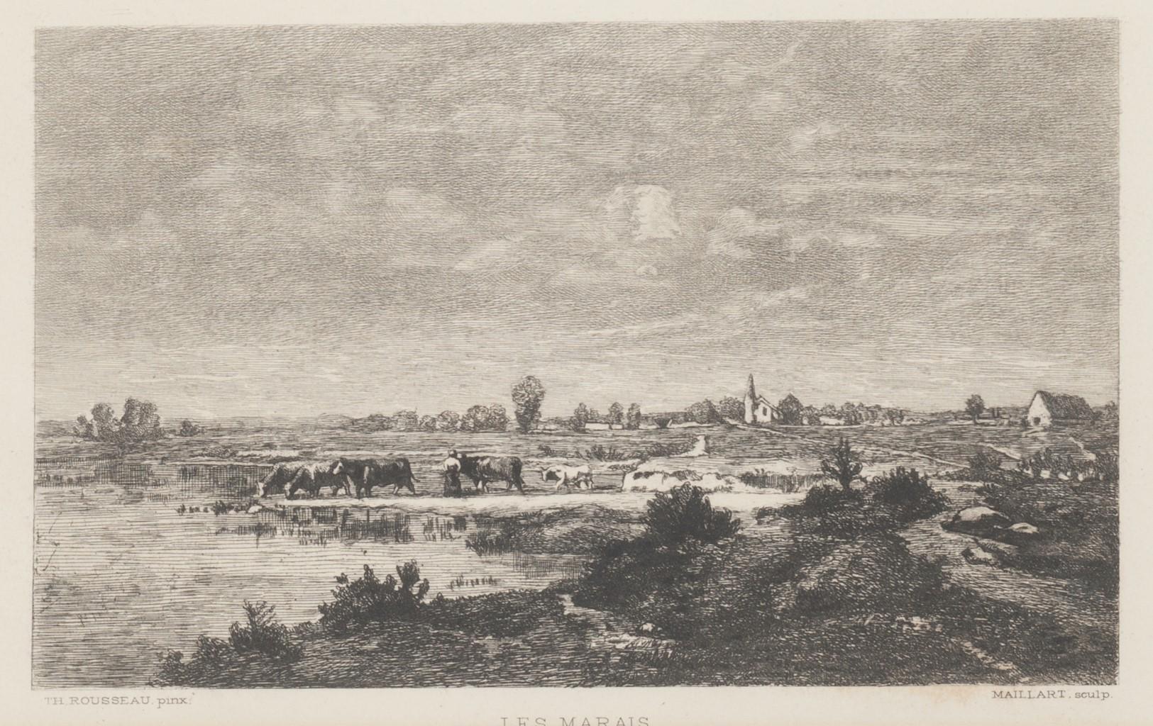 Les Marais - Etching by Maillart after T. Rousseau - 1880