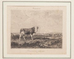 Taureau au Paturage - Original Etching by Gustave Greux & A. Salmon - 1880