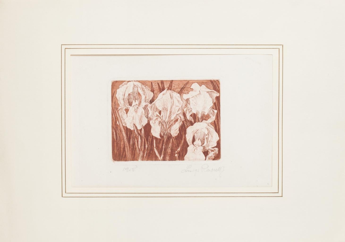 Gladioli 1975s is an original print in etching technique, realized by Luigi Rossetti (1881-1912) .

 Good conditions: as good as new.

This etching represents a beautiful flowers, 