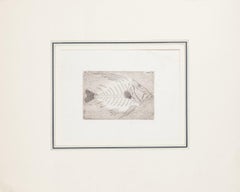 Acquaforte a lisca di pesce di Massimo Baistrocchi - Fine XX secolo