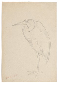 Bird - Original Pencil Drawing - 20th Century