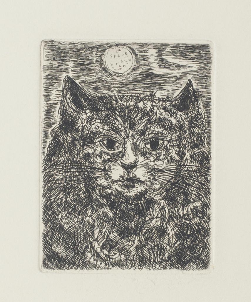 Cat - Etching by Giampaolo Berto - 20th Century