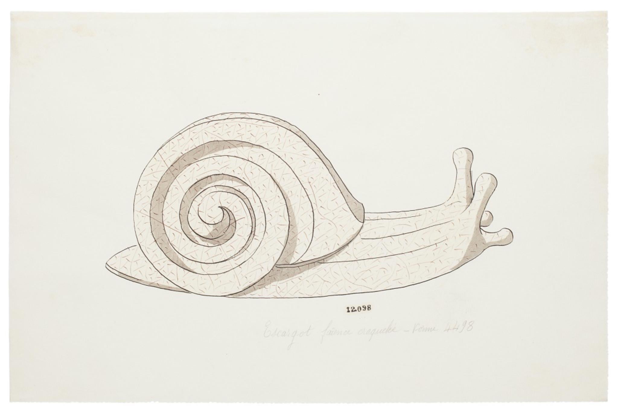 Unknown Animal Art - Snail - Original Watercolor and Ink Drawing - 19th Century