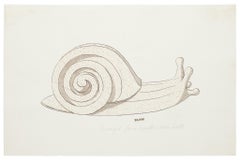 Snail - Original Watercolor and Ink Drawing - 19th Century
