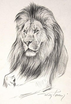 Le lion - Crayon sur papier par Willy Lorenz - 1970
