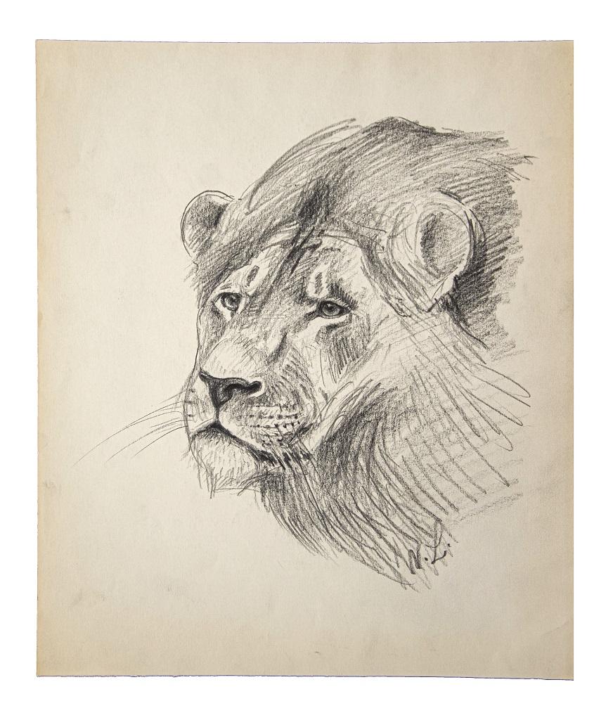 Willy Lorenz Animal Art - Five pieces by Wilhelm Lorenz - Original Drawings