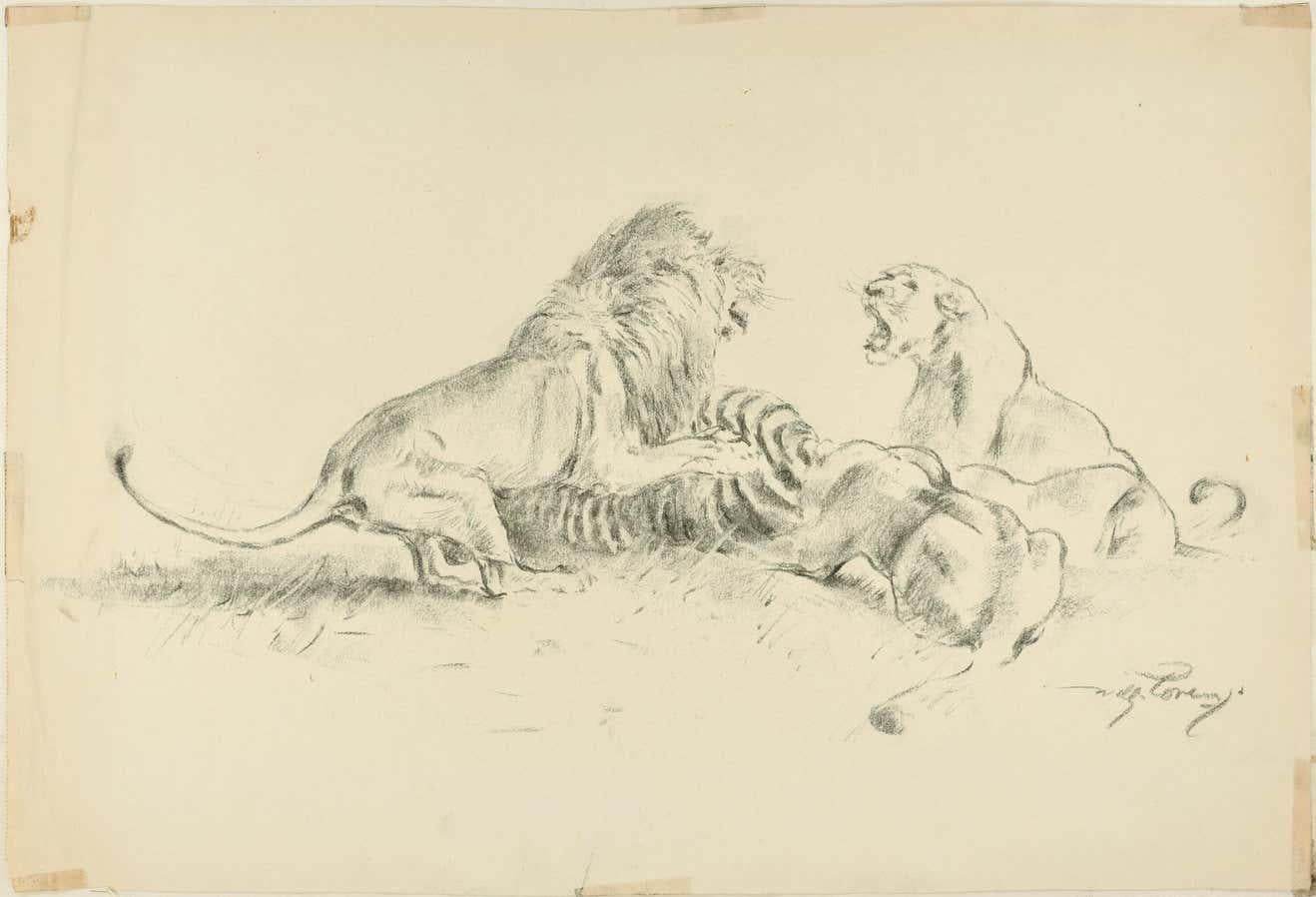 Five pieces by Wilhelm Lorenz - Original Drawings - Beige Animal Art by Willy Lorenz