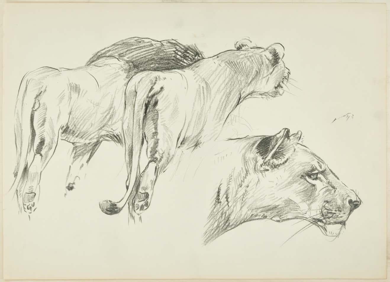 Five pieces by Wilhelm Lorenz - Original Drawings - Modern Art by Willy Lorenz