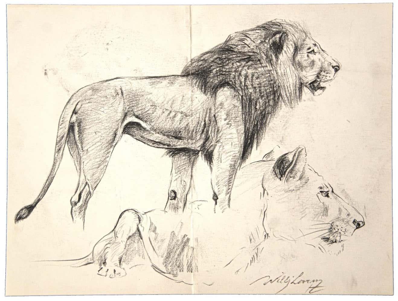 Five pieces by Wilhelm Lorenz - Original Drawings - Art by Willy Lorenz