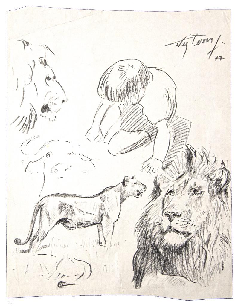 dessin lion crayon