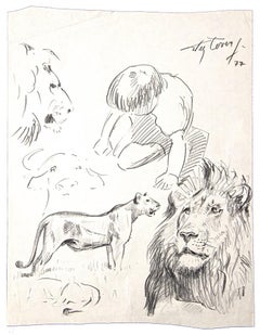 Étude d'un lion - Crayon original sur papier de Wilhelm Lorenz - fin du 20e siècle