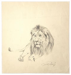 Le lion - Crayon original sur papier de Wilhelm Lorenz - Milieu du XXe siècle