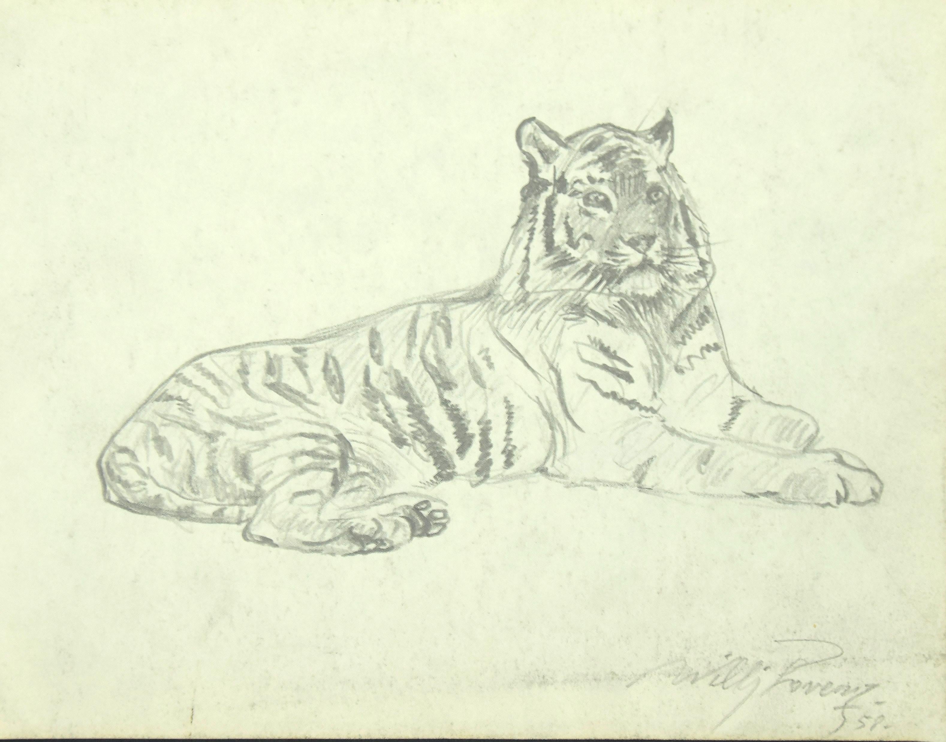 how to draw a tiger laying down