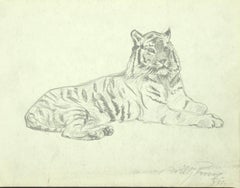 Vintage Tiger - Pencil on Paper by Willy Lorenz - 1958