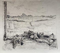 Fleurs sèches dans le paysage - Gravure originale de Marco Bellagamba - 1968